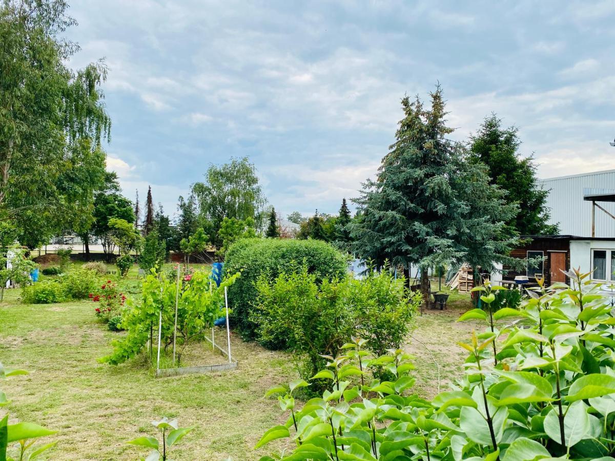 Pension Florion Bernburg Esterno foto